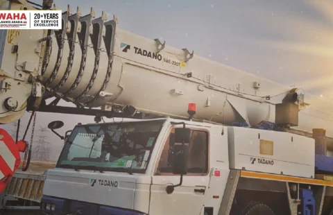 Qatar's Crane Solutions