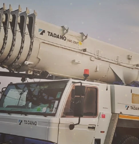 Qatar's Crane Solutions