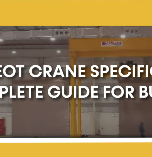 10 ton EOT crane