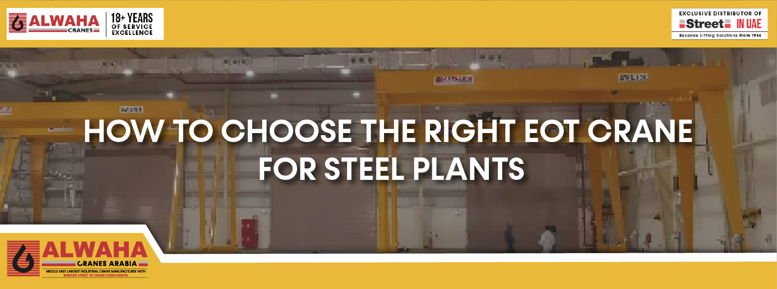 EOT Crane for Steel Plants